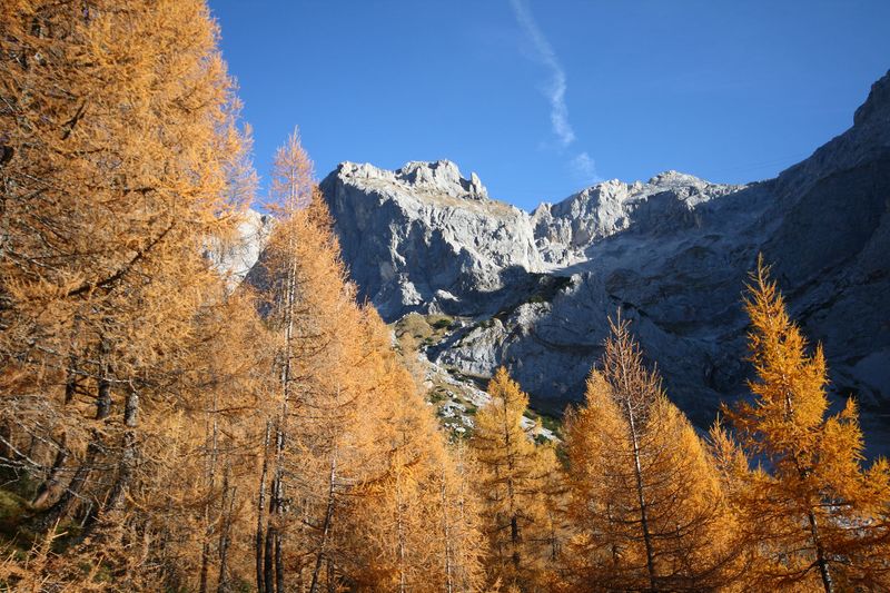 Datei:Lackenbichl -südwand 12035 2015-11-04.jpg