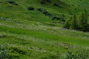 Mößnakar 0853 13-07-12.jpg