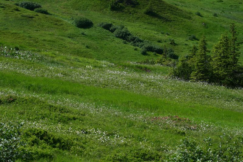 Datei:Mößnakar 0853 13-07-12.jpg