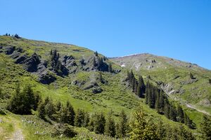 Mitterrieden oppenberg-102-2020-06-12.jpg