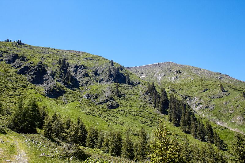 Datei:Mitterrieden oppenberg-102-2020-06-12.jpg