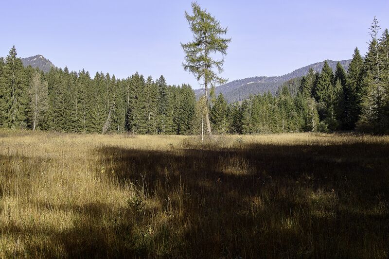 Datei:Naglmoos Reith-0696-2023-10-13.jpg