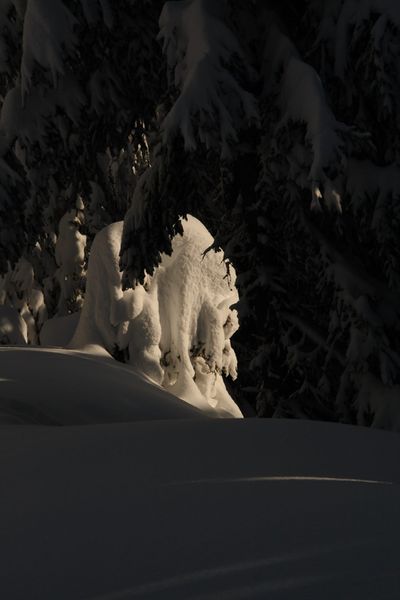 Datei:Obere Moseralm 50120 2007-11-28.jpg