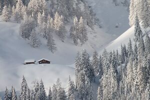 Obere moseralm 5749 DXO.jpg