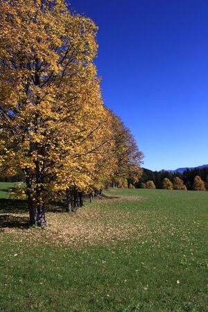 Schildlehen ramsau 60246 2017-10-05.jpg