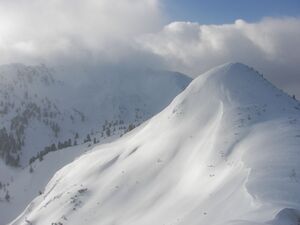 Schneider 46905 2006-02-27.jpg