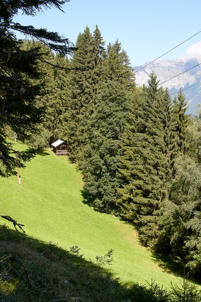 Datei:Vlg schröck schattenberg 48-0447-2023-08-11.jpg