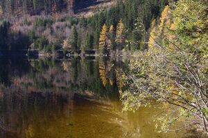 Ödensee 78049 2014-11-03.jpg