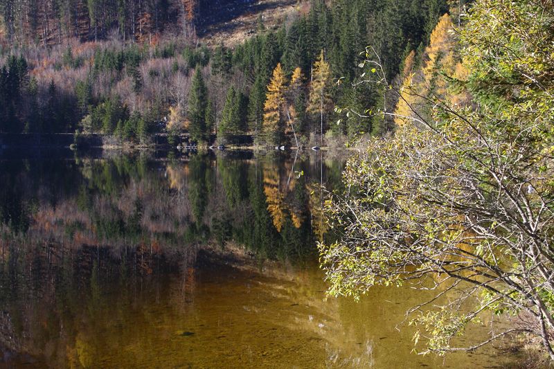 Datei:Ödensee 78049 2014-11-03.jpg