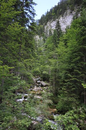 Bachwand zimitzbach 77705 2018-06-04.jpg