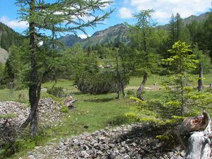 Duisitzkar 15978 2006-07-03.jpg