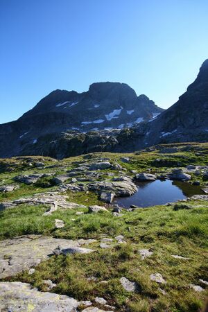 Goldlacken 0409 2008-08-12.jpg