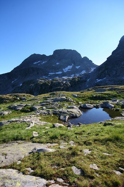 Datei:Goldlacken 0409 2008-08-12.jpg