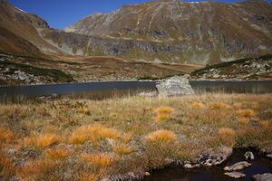 Grünsee-großsölk 1317 2013-09-25.jpg