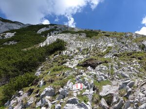 Großer Donnerkogel150195.JPG