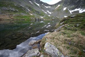 Hüttkarseen im Hüttkar 39326 2012-06-29.jpg