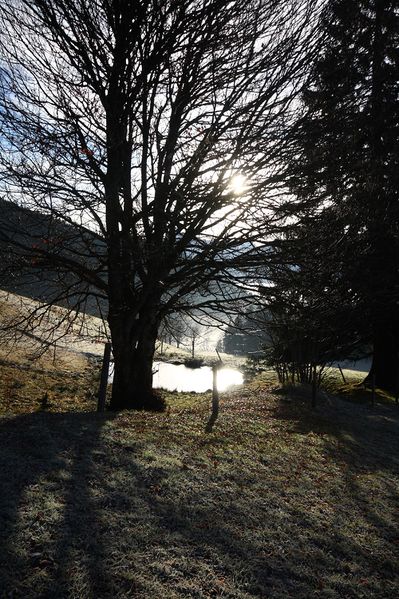 Datei:Halseralm-rittis 80001 2014-12-05.jpg