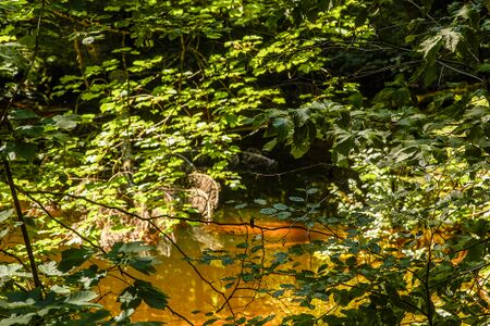 Kalte seel-0142-2021-08-21.jpg