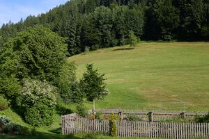 Kleinschoberbauer breitau 6-0133-2025-06-18.jpg