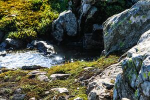 Ob klaffersee 3513 2008-07-16.jpg