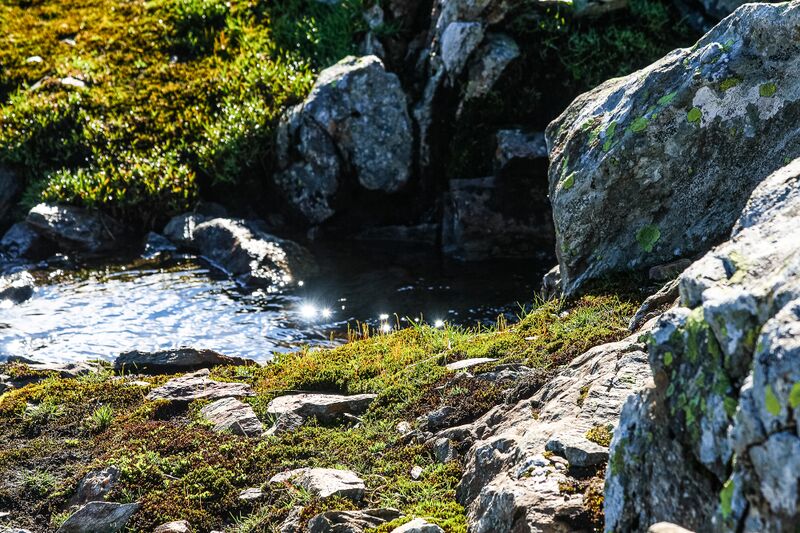 Datei:Ob klaffersee 3513 2008-07-16.jpg