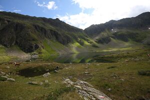 Oberer lanschitzsee 98152 2011-08-12.jpg