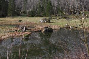 Ostersee Altaussee 79101 2014-11-15.jpg