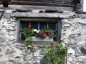Silbersteinalm obertal 16027 2002-06-18.jpg