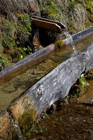 Stoderbrünnl-0079-2021-05-11 10.13.56.jpg