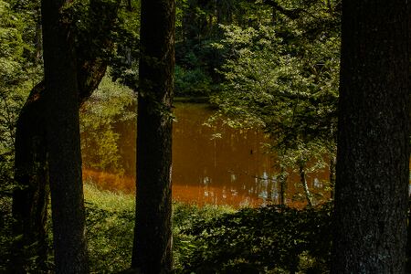 Warme seel-0105-2021-08-21.jpg