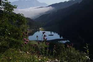 BodenseeIMG 0359.jpg