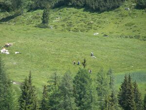 Gumpenkar 54540 2007-06-19.jpg