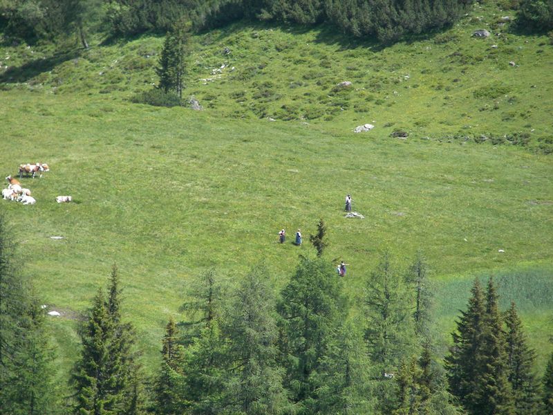 Datei:Gumpenkar 54540 2007-06-19.jpg