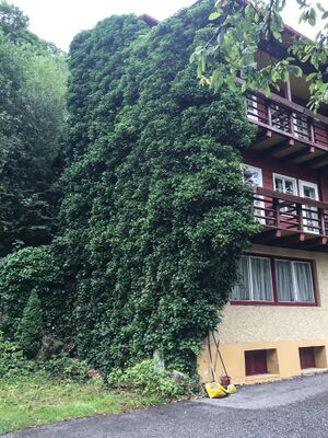 Haus kieler-3100-2019-08-13.jpg