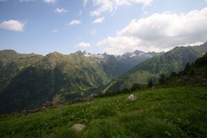 Im wildkar 23598 2008-06-26.jpg