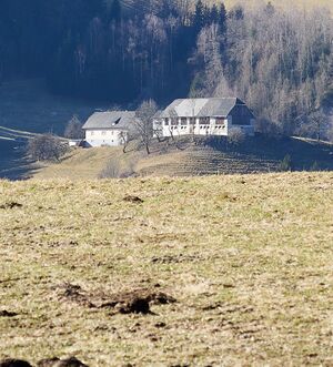 Kasberger-treberer strechau 108-2025-03-06 1.jpg