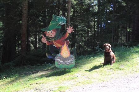 Märchenweg rittisberg 56739 2017-09-04.jpg