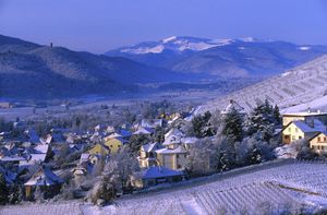 Munstertal ©Christophe MEYER ADT HAUT-RHIN.jpg
