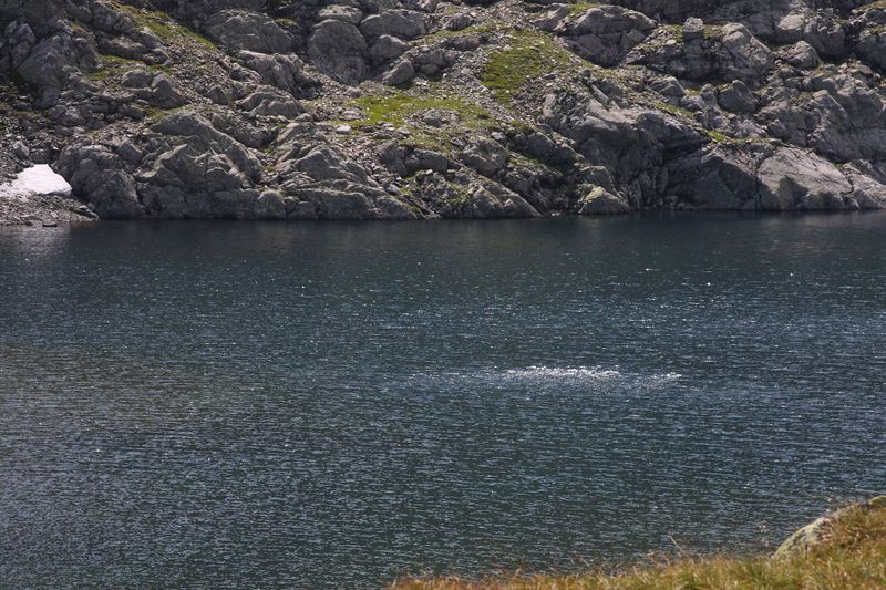 Datei:Rauhenbergsee 2866 2009-08-19.jpg