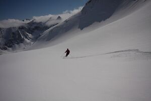 Schnabelkar 5501 2012-03-20.jpg