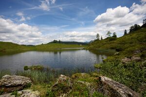 Schobersee 93180 2015-06-26.jpg