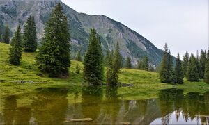 Sulzkarsee23561.JPG