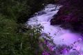 Talbachklamm nacht 65635 2014-06-16.jpg