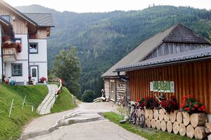 Vlg. Asinger sonnberg-0238-2023-08-25.jpg