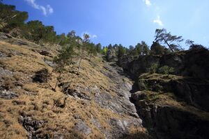 Wasserlochklamm palfau 70294 2018-04-23.jpg