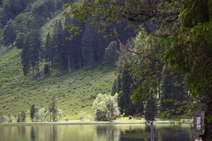 Bodensee seewigtal 63417 2014-06-21.jpg