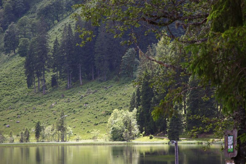 Datei:Bodensee seewigtal 63417 2014-06-21.jpg