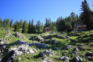 Gößlalm grundlsee 77581 2018-06-04.jpg