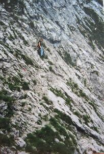 Herzmann-Kupferplatte 1876.JPG