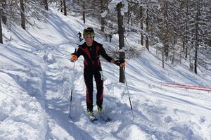 Hubsi-Lauf 2015-1061433.jpg